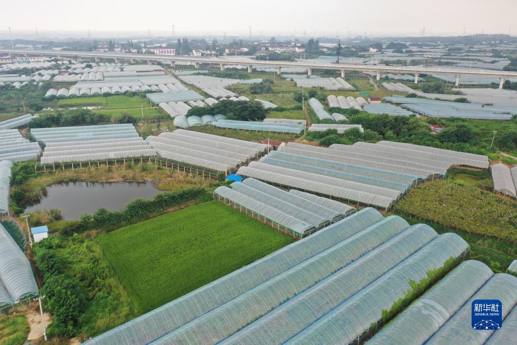 重庆亚洲永利会